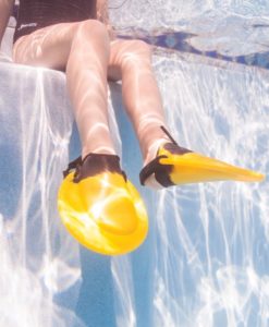 FINIS PDF Fins